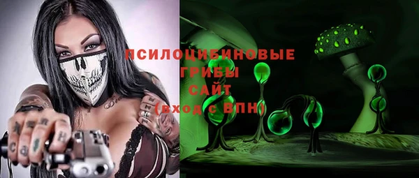 амф Дмитров