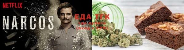 амф Дмитров