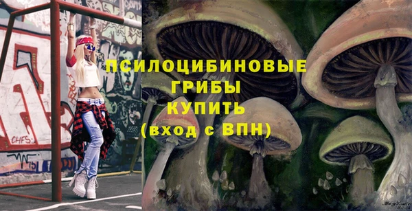 мет Дмитриев