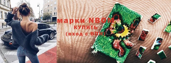 амф Дмитров