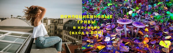 мет Дмитриев