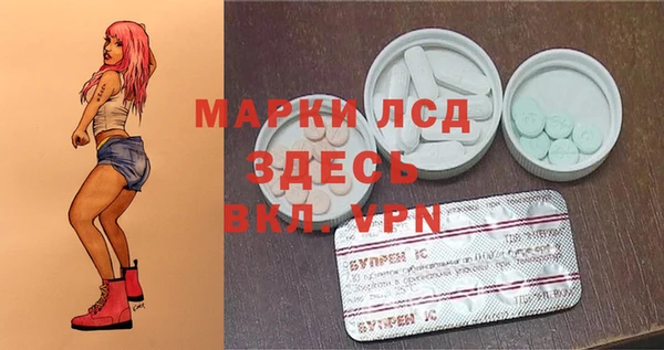 амф Дмитров