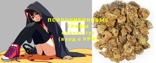 амф Дмитров