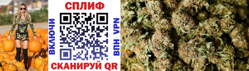 Бошки Шишки ГИДРОПОН Можга